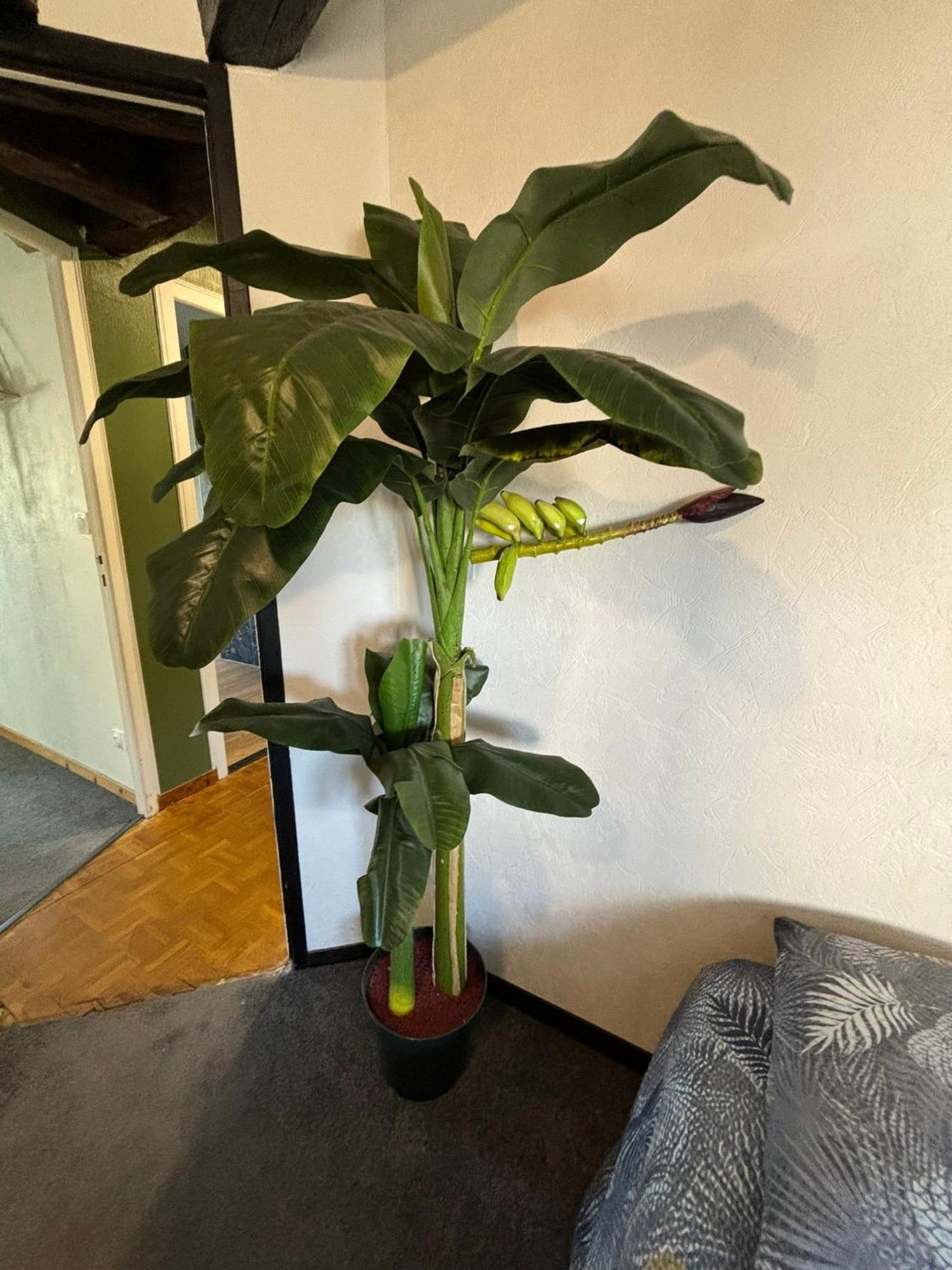 루비에 Jungle Cosy 아파트 외부 사진