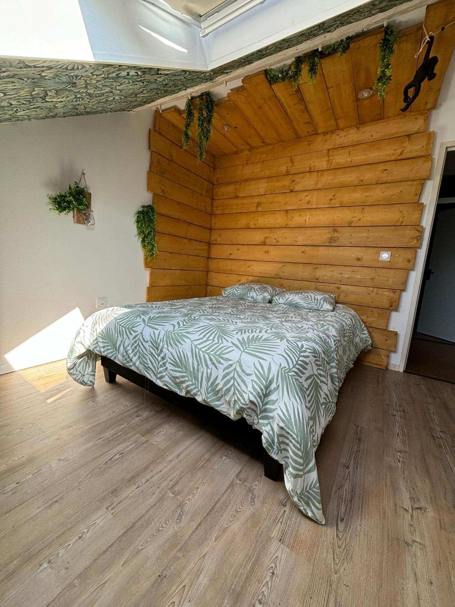 루비에 Jungle Cosy 아파트 외부 사진