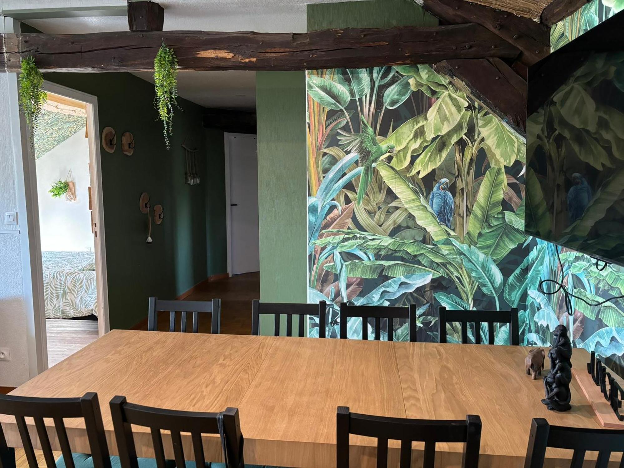 루비에 Jungle Cosy 아파트 외부 사진
