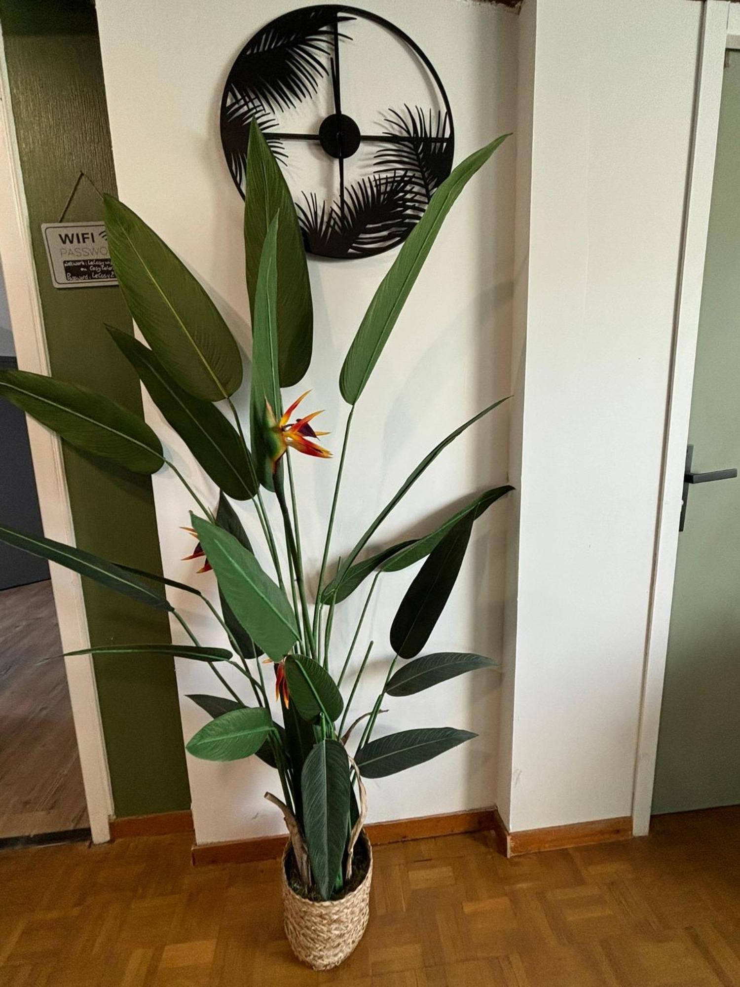 루비에 Jungle Cosy 아파트 외부 사진
